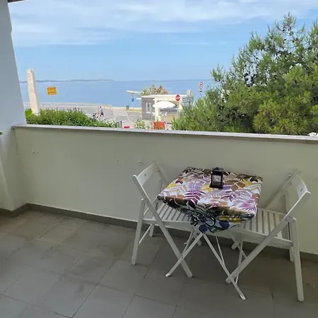 Stella * Piran